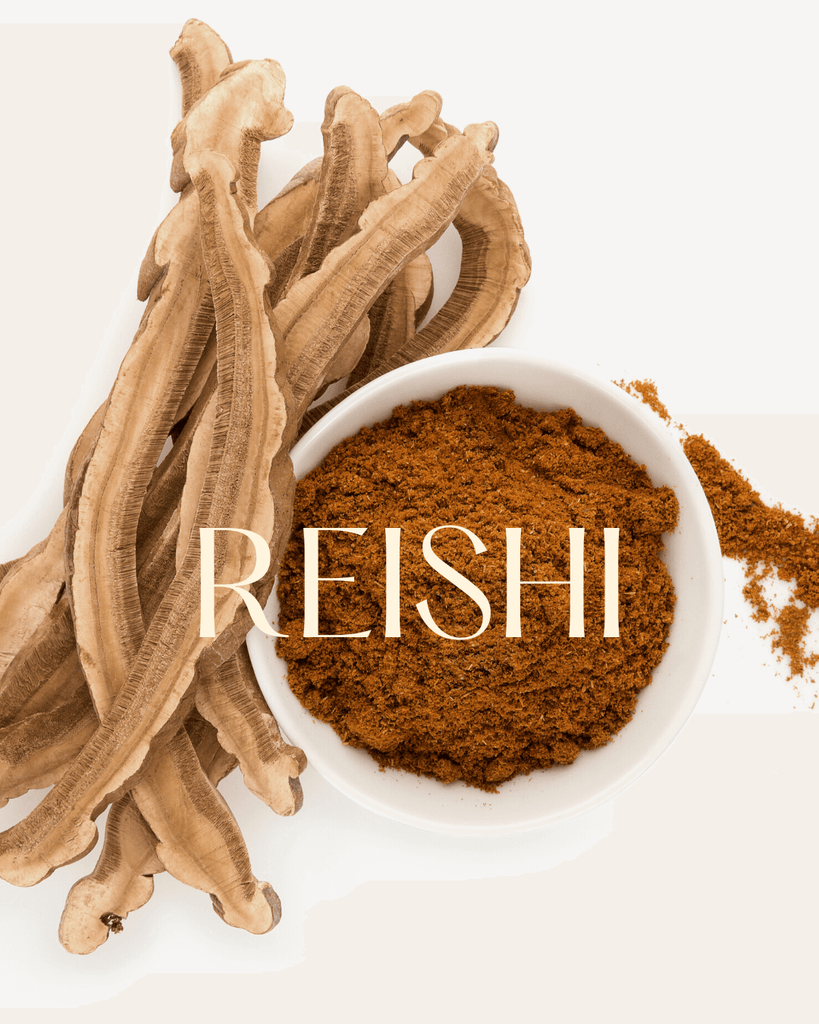 Vitalpilze im Kaffee - das kann Reishi